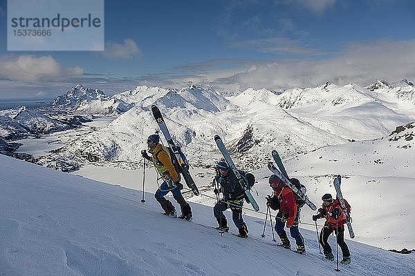 Bergführer führt eine Seilschaft von Skibergsteigern auf dem Blåtinden  Svolvaer  Austvågøy  Lofoten  Norwegen  Europa