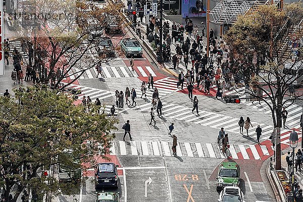 Überquerung von oben  Menschenmassen beim Überqueren eines Zebrastreifens  Bunkamura-Dori  Shibuya  Udagawacho  Tokio  Japan  Asien