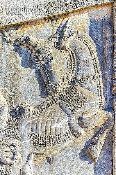 Apadana-Treppenfassade  antikes Relief eines Stiers  Persepolis  Provinz Fars  Iran  Asien