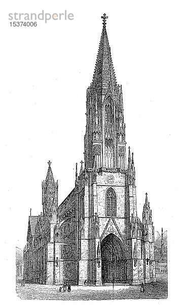 Freiburger Münster  das Münster von Freiburg im Breisgau  1889  historischer Holzschnitt  Deutschland  Europa