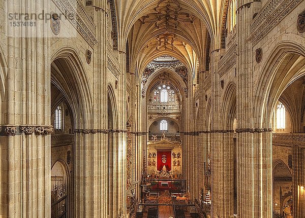 Innenraum der Neuen Kathedrale  Salamanca  Kastilien-León  Spanien  Europa