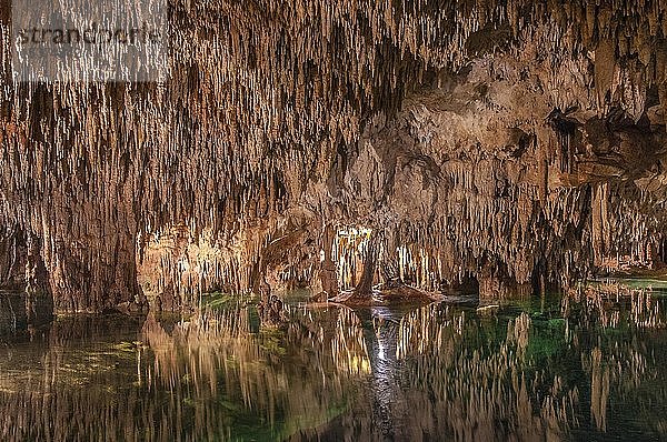 Tropfsteinhöhle  Naturpark Aktun Chen  Riviera Maya  Mexiko  Mittelamerika