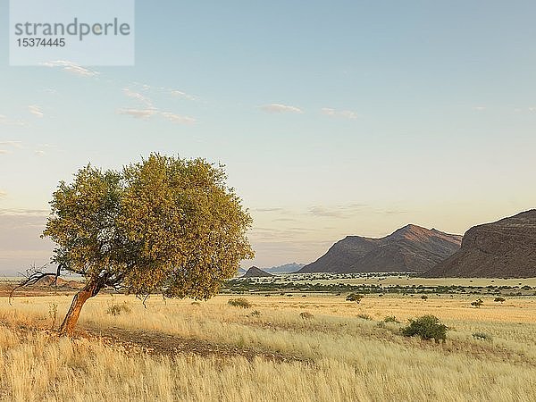 Landschaft im Marienflusstal  Kaokoveld  Namibia  Afrika