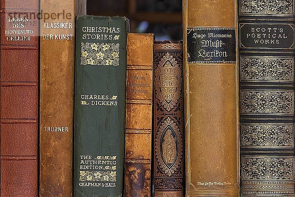 Buchrücken von alten Klassikern  ledergebundene Bücher  Deutschland  Europa