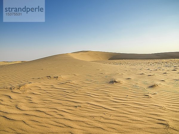 Sanddünen  Kaokoveld  Namibia  Afrika