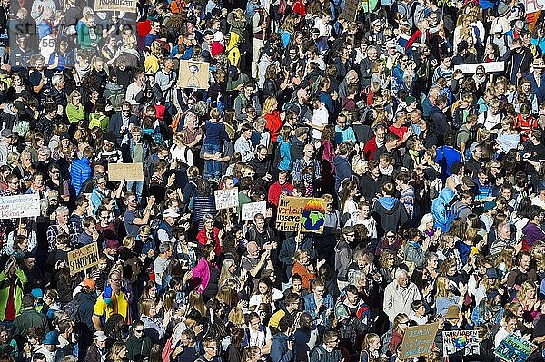 Menschenmenge von oben  Demonstranten beim Klimastreik  Demonstration 20.09.2019  fridays for future  Freiburg im Breisgau  Baden-Württemberg  Deutschland  Europa