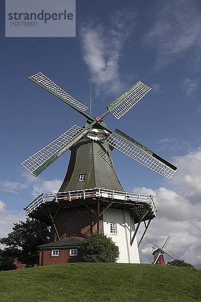 Grüne Zwillingswindmühle in Greetsiel  Ostfriesland  Niedersachsen  Deutschland  Europa