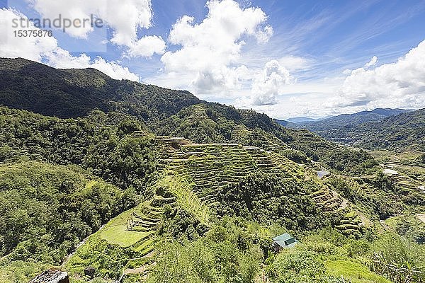 Blick auf die Reisterrassen vom Aussichtspunkt Banaue aus  Banaue  Philippinen  Asien