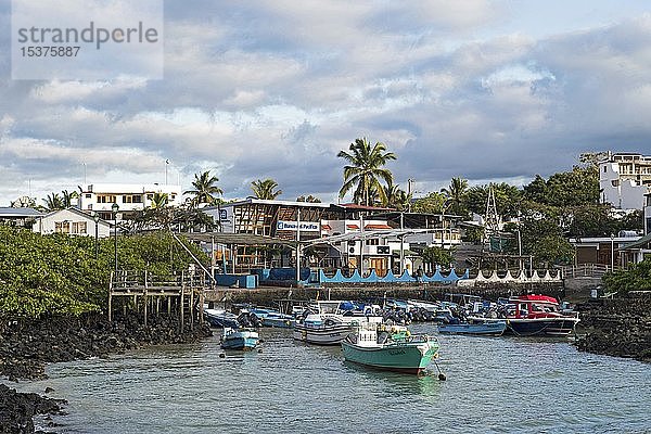 Kleiner Fischerhafen von Puerto Ayuro  Insel Santa Cruz  Galapagos-Inseln  Ecuador  Südamerika