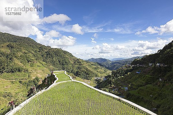 Blick auf die Reisterrassen vom Aussichtspunkt Banaue aus  Banaue  Philippinen  Asien