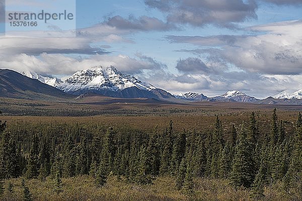 Schneebedeckte Berge der Alaska Range mit Tundralandschaft  Denali National Park  Alaska  USA  Nordamerika