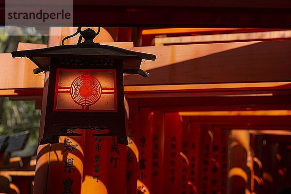 Lampe im Fushimi Inari-Taisha  Shinto-Schrein  vor den roten Torii-Toren  Fushimi Inari-taisha Okusha Hohaisho  Kyoto  Japan  Asien