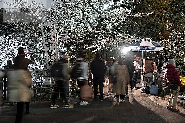 Touristen und Japaner unter blühenden Kirschbäumen bei Nacht  Japanische Kirschblüte im Frühling  Hanami Festival  Chidorigafuchi Green Way  Tokio  Japan  Asien