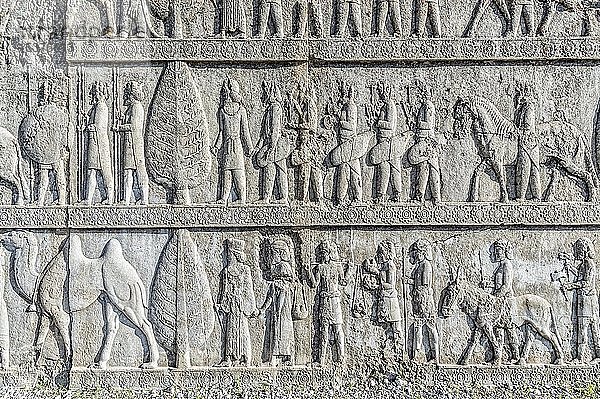 Apadana-Treppenhausfassade  antikes Relief der Achämeniden  Meder und Perser  Persepolis  Provinz Fars  Iran  Asien