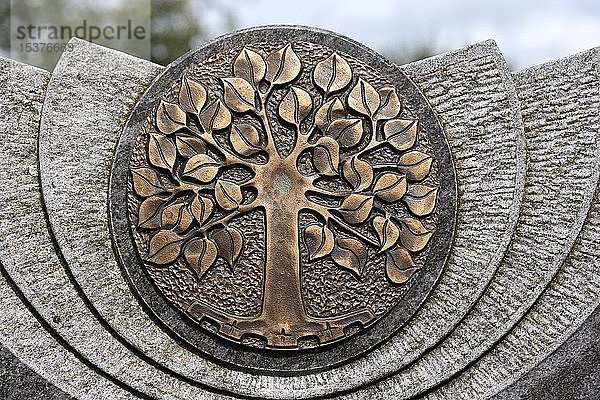 Baum des Lebens  Motiv auf einem Grabstein