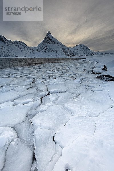 Fjord mit Eisschollen im Winter  hinterer Berg  Fredvang  Lofoten  Norwegen  Europa