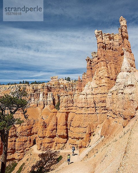 Wanderweg Peekaboo Trail  Bizarre Felslandschaft mit Hoodoos  rötliche Sandsteinformationen  Inspiration Point  Bryce Canyon National Park  Utah  USA  Nordamerika