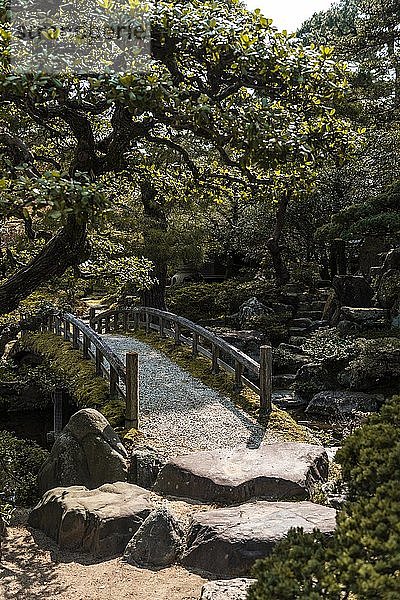 Gartenlandschaft  Garten mit Brücke  Kaiserpalast  Kyoto Gyoen  Kyoto  Japan  Asien