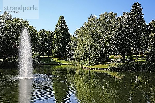 Grünanlage  See mit Wasserfontäne im Stadtgarten  Essen  Ruhrgebiet  Nordrhein-Westfalen  Deutschland  Europa