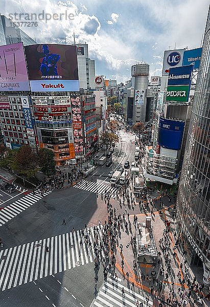Menschenmenge bei Zebrastreifen und Verkehr  von oben  Shibuya-Kreuzung  Udagawacho  Shibuya  Tokio  Japan  Asien