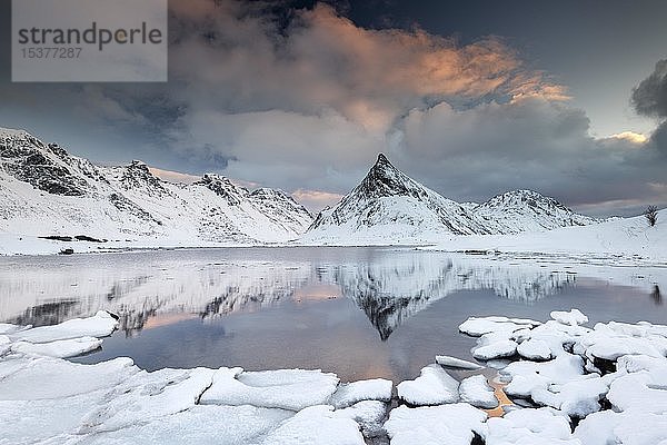 Lagune mit Eisschollen  dahinter schneebedeckte Berge  Fredvang  Lofoten Norwegen