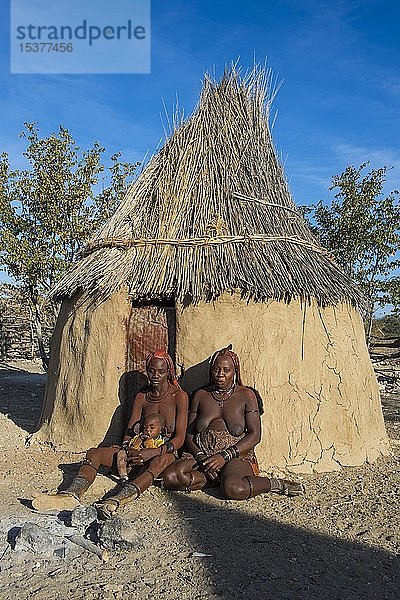 Himba-Frauen vor ihrer Hütte  Kaokoland  Namibia  Afrika
