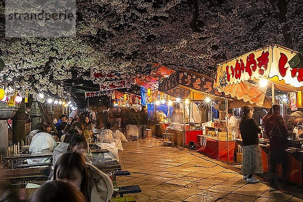 Essensstände mit japanischem Essen bei Nacht  Kirschblüte im Frühling  Hanami Fest  Ueno Park  Taito City  Tokio  Japan  Asien
