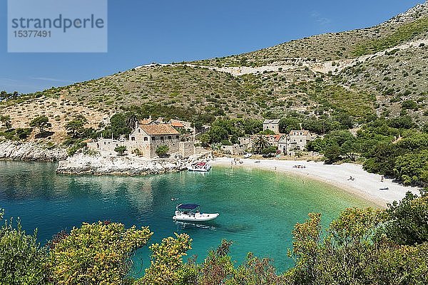 Bucht Dubovica  türkisfarbenes Wasser und Strand  Insel Hvar  Adriatisches Meer  Dalmatien  Kroatien  Europa
