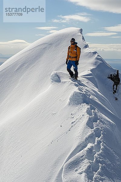 Bergsteiger im Schnee auf dem Grat des Stortinden  Svolvaer  Austvågøy  Lofoten  Norwegen  Europa
