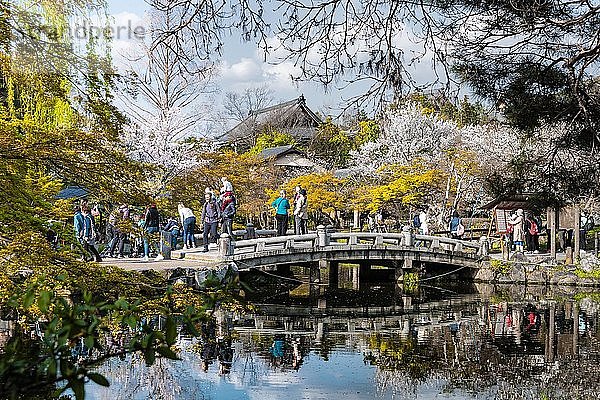 See mit Brücke im Maruyama-Park  Kyoto  Japan  Asien