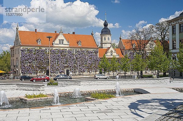 Rathausplatz mit Rathaus  blühende Glyzinien (Wisteria)  Wasserspiele  Riesa  Sachsen  Deutschland  Europa