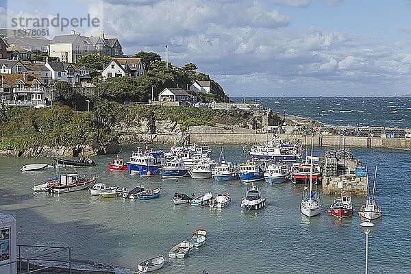 Hafen  Newquay  Cornwall  England  Großbritannien