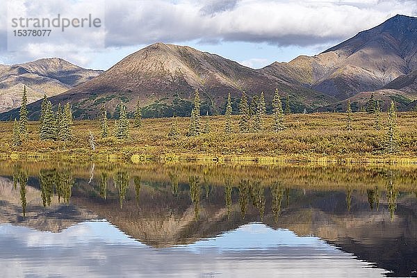 Herbstliche Tundralandschaft spiegelt sich im See  Alaska Range  Zentralalaska  Alaska  USA  Nordamerika