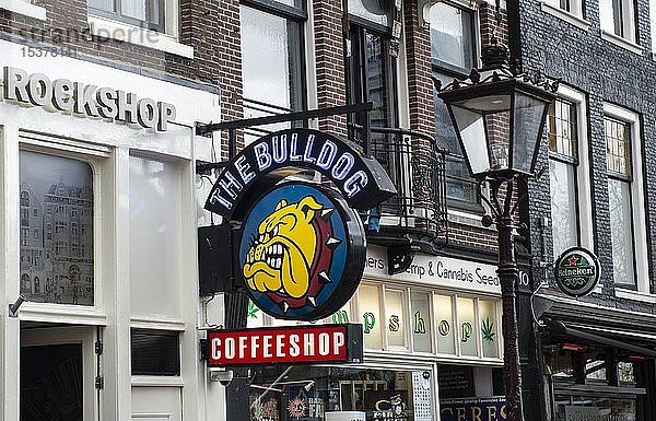 Schild des Coffeshops The Bulldog  Amsterdam  Nordholland  Niederlande