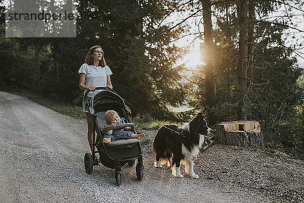 Mutter mit Baby im Kinderwagen und Hund geht bei Sonnenuntergang auf einem Waldweg spazieren