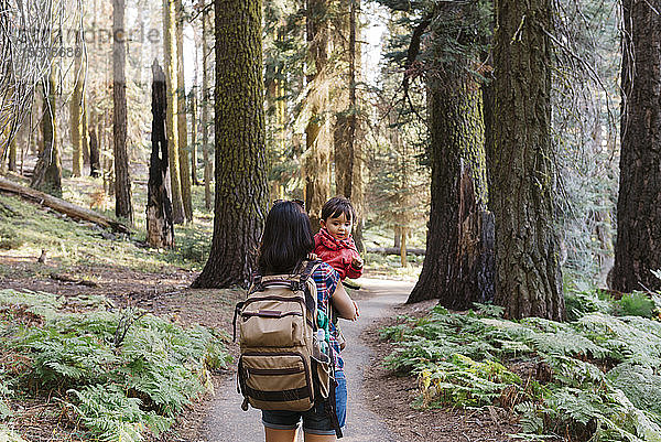 Mutter hält ein kleines Mädchen im Wald im Sequoia-Nationalpark  Kalifornien  USA