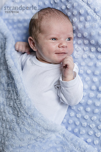 Porträt eines neugeborenen Jungen auf einer Decke liegend