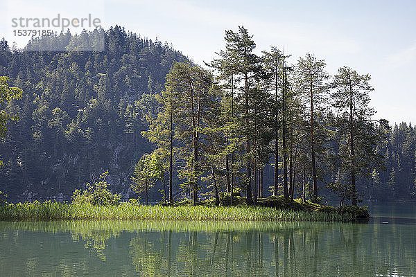 Österreich  Tirol  Hintersteinsee bei Scheffau im Naturschutzgebiet Wilder Kaiser