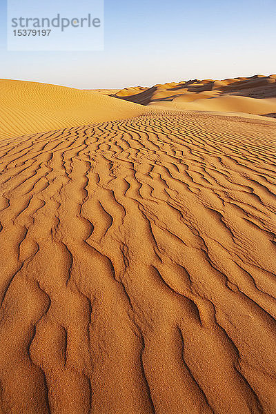 Sultanat Oman  Wahiba-Sand  Dünen in der Wüste