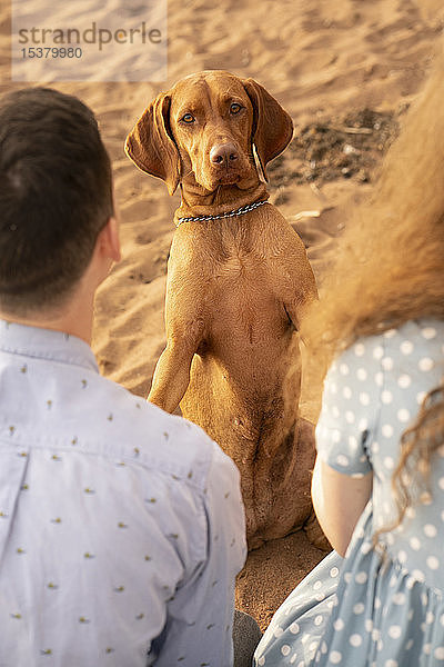 Ehepaar mit ihrem Hund am Strand