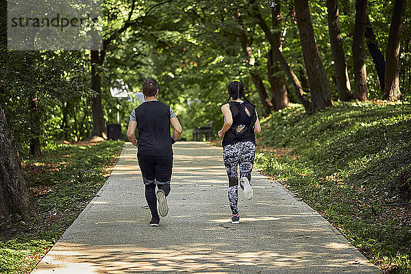 Rückansicht eines sportlichen Paares  das auf einem Waldweg läuft
