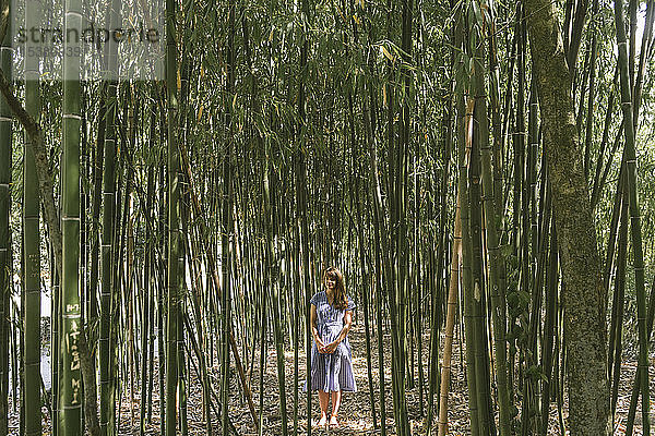 Frau  die in einem Bambuswald steht  Aveiro  Portugal