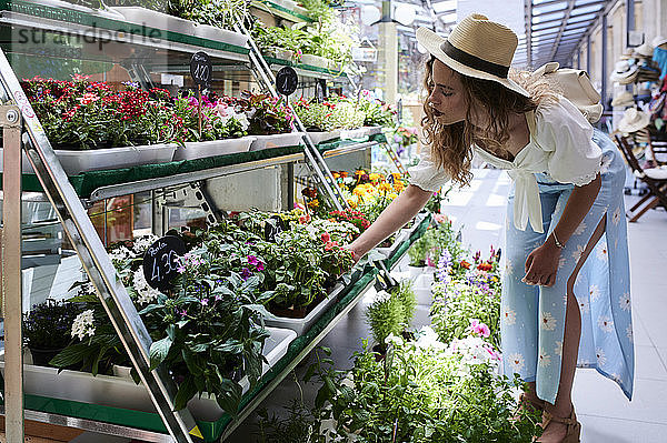 Junge Frau wählt Blumen in einem Geschäft aus