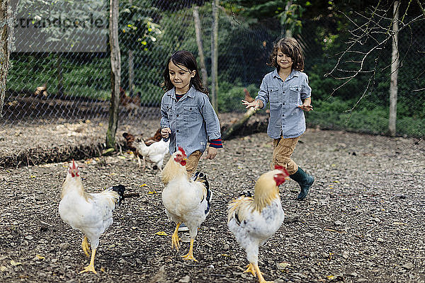 Zwei Kinder jagen Hühner auf einem Biohof