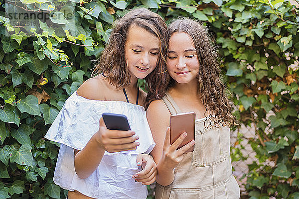 Junge Mädchen mit Smartphone auf Efeu-Hintergrund