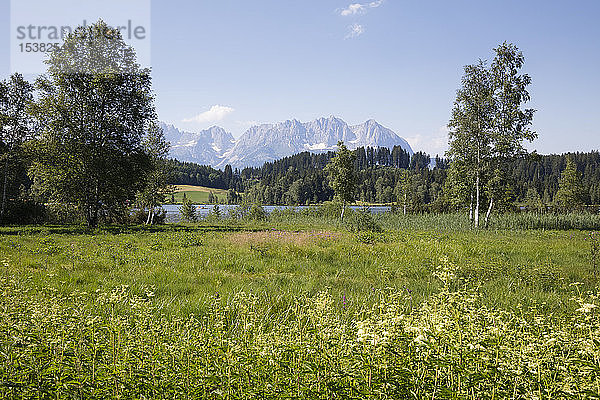 Österreich  Tirol  Kitzbühel  Schwarzsee-Sumpf mit Kaisergebirge im Hintergrund
