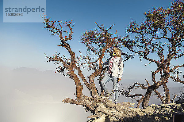 Frau mit Atemschutzmaske auf einem Baum am Vulkan Ijen  Java  Indonesien