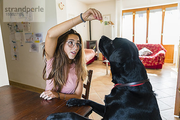 Mädchen spielt zu Hause mit Hund am Tisch