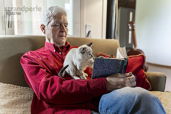 Älterer Mann mit Kätzchen sitzt auf dem Sofa und liest ein Buch