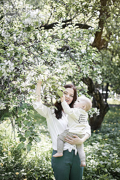 Mutter mit ihrem kleinen Jungen an einem Baum im Park